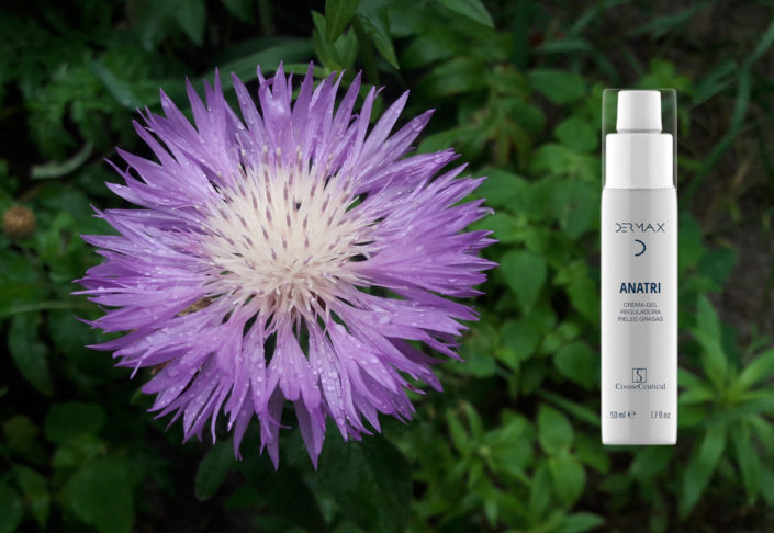 bardana 4 Consejos para mejorar la salud de tu piel